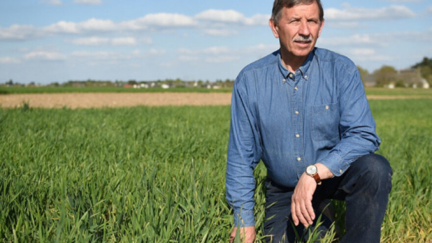 Ispisao HELP u polju pšenice