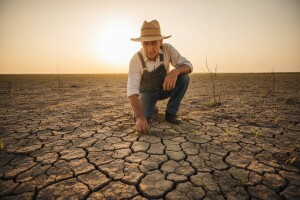Zaključci Međunarodnog summita 2010.