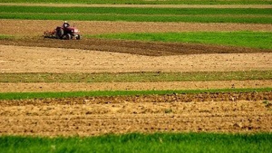 O Zakonu o komasaciji u Osijeku