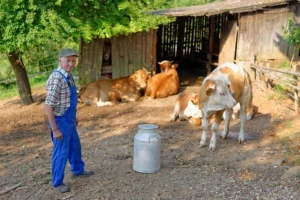 Iznosi potpora do 50 tisuća kuna izuzeti od ovrhe!