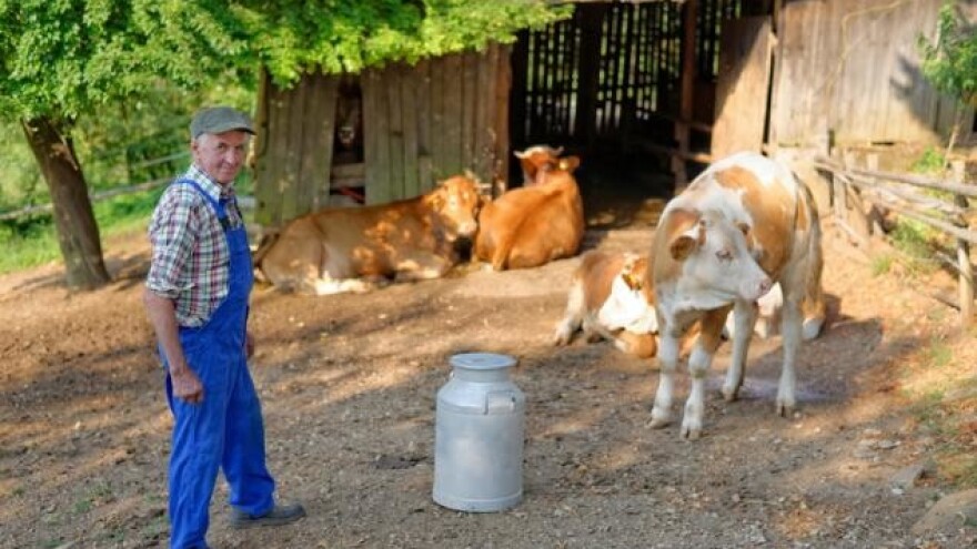 Iznosi potpora do 50 tisuća kuna izuzeti od ovrhe!