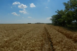 Strancima ograničena kupovina zemljišta