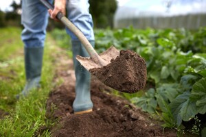 Ako se pomagalo Agrokoru, mora se pronaći model pomoći za 50 tisuća blokiranih OPG-ova
