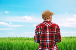 Kuda idu obiteljska poljoprivredna gospodarstva?