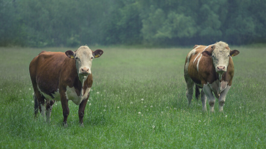 Državno zemljište - što je legalno, a što moralno?