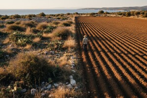 Zakup poljoprivrednog zemljišta u Ninu