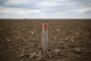 Zakup u općini Nijemci djelomično poništen