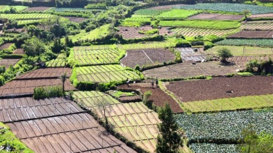 Malim poljoprivrednicima do 20 ha zemljišta!