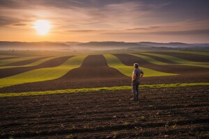 Zakupljene sve parcele