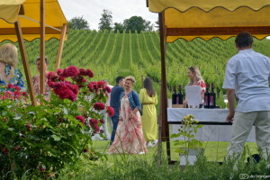 Treći Zalazak u vinogradu donio i graševinu na tračnicama