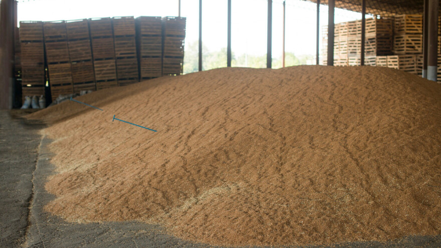 Odugovlače s prodajom pšenice zbog smanjenja zaliha i rasta cijena