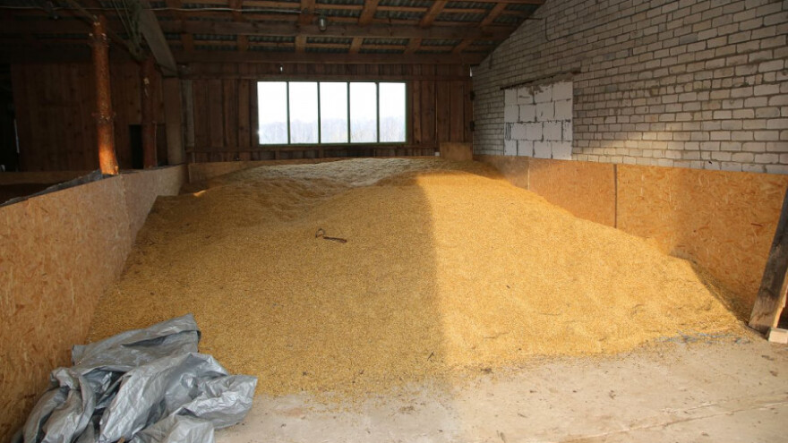 Nezadovoljni cijenom, ne žele prodavati pšenicu