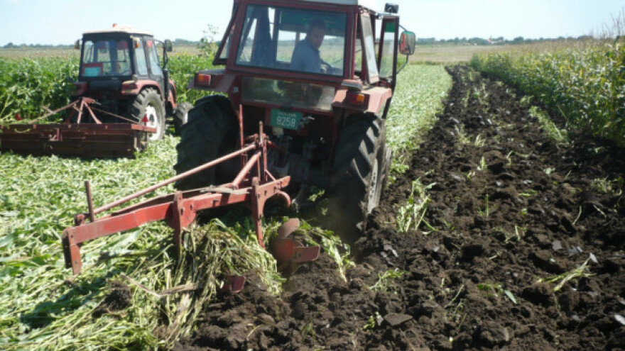 Sideracijom do kvalitetnijeg zemljišta