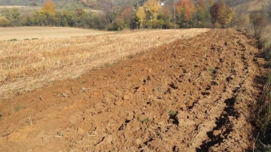 Organizacija - ključ uspeha organske poljoprivrede