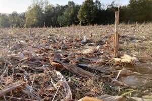 Ljuštenje strništa: Od čega zavisi i koje se mašine koriste za zaoravanje?