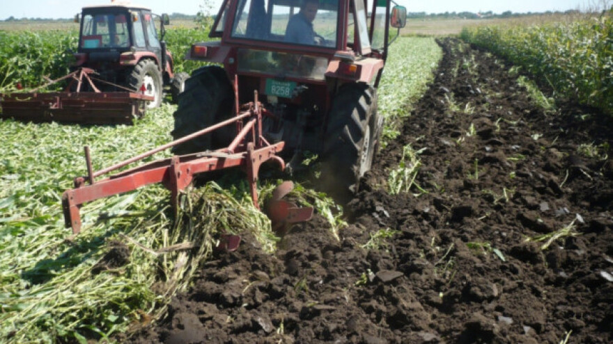 Kako obnoviti humus?
