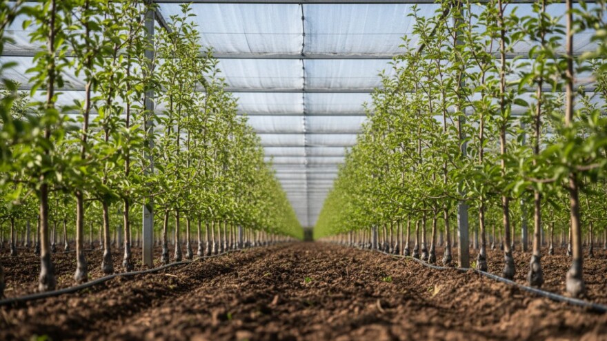 Zapažen nastup osječke tvrtke Werkos
