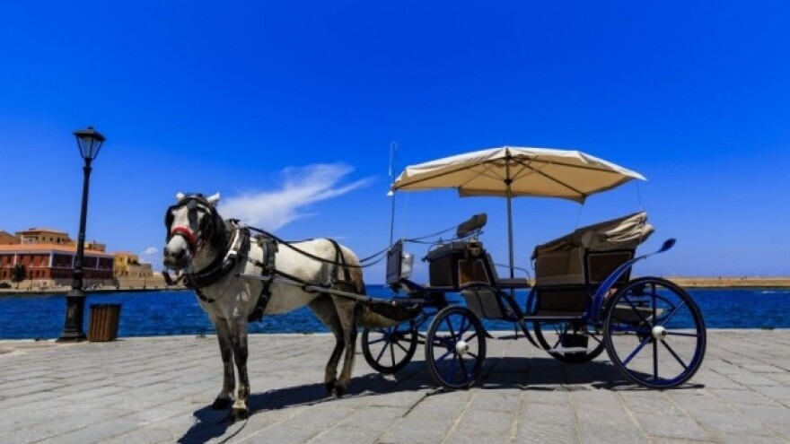 Putuje Evropom na zaprezi sa kozom i kokošima!