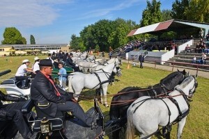 Međunarodni jesenski sajmovi ispunili očekivanja