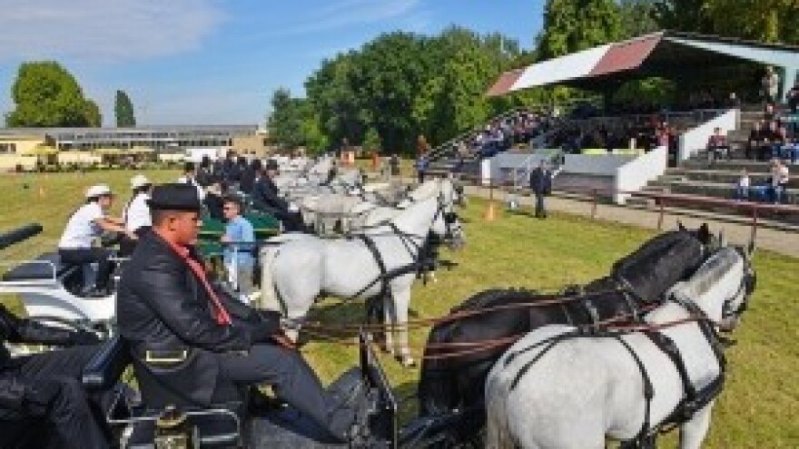 Međunarodni jesenski sajmovi ispunili očekivanja