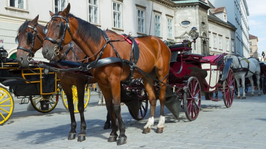 Sudarila se zaprežna kola - ozlijeđeno 20 ljudi