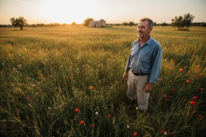 Zapuštena polja darujte zainteresiranim braniteljima