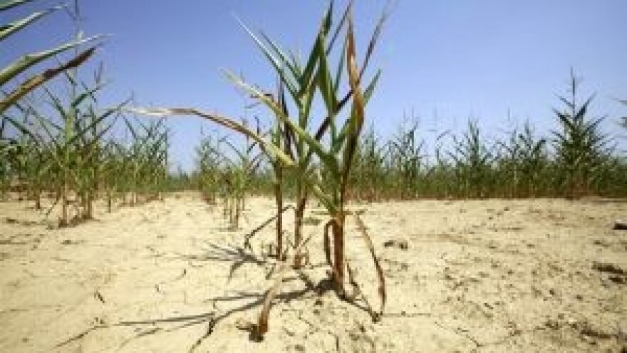 Na djelu višedesetljetna zapuštenost poljoprivrede