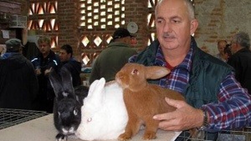 Male životinje i njihovi ljubitelji