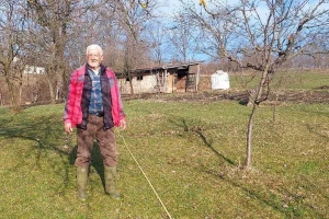 Domaćin u duši – penzioner Žarko u "ministrovom voćnjaku" ubire plodove za rakiju