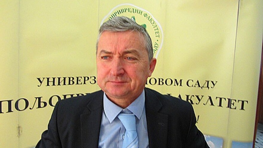 Šta Srbija gubi, a šta dobija članstvom u STO?