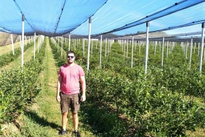 Bojan Miljanić gradski život zamenio uzgojem borovnice