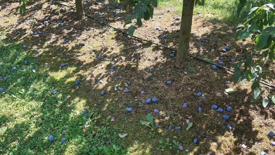 Vrijeme pogoduje radovima na otvorenom - temperature do 31°C