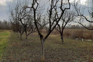 Nestabilno vrijeme usporava predsjetvenu pripremu, ali pogoduje radovima na otvorenom