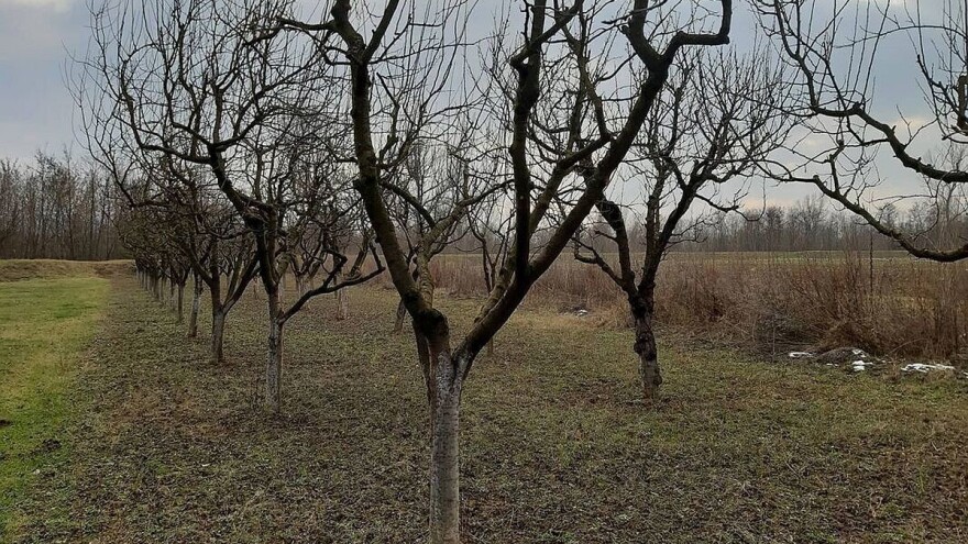 Nestabilno vrijeme usporava predsjetvenu pripremu, ali pogoduje radovima na otvorenom