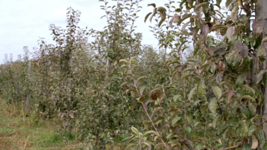 Poljoprivredno zemljište koje to više nije