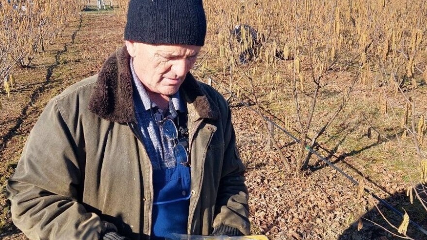 Mirko po Evropi vozi kamion, a u Laktašima podigao zasad lješnika za penzionerske dane