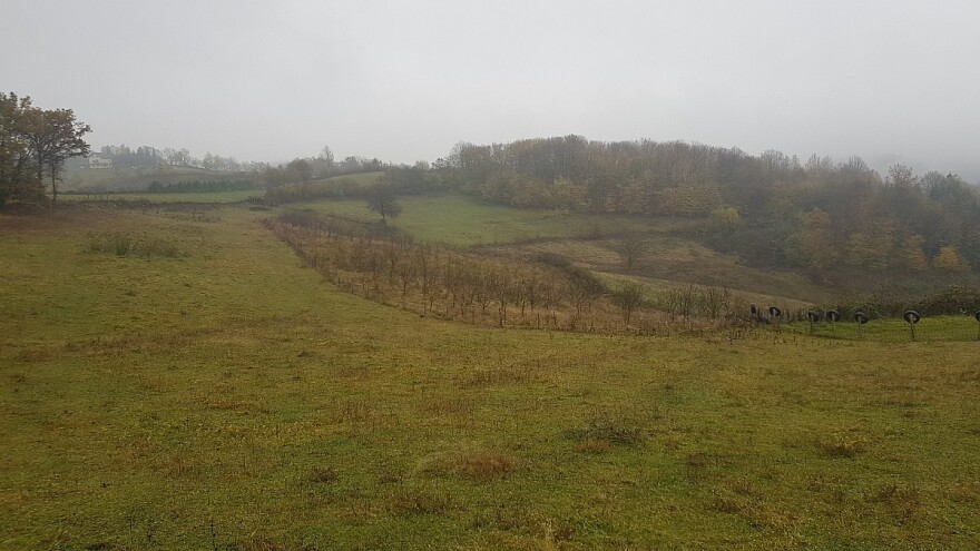 Pred nama je hladan i oblačan vikend