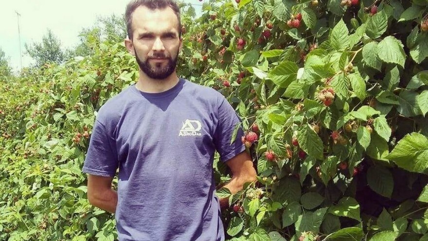 Dvogodišnja malina - agrotehničke, pomotehničke i mjere zaštite u nasadima maline nakon berbe