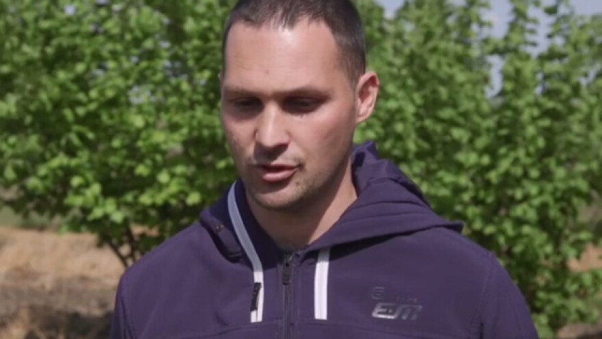 Zbog pčela zasadio voćnjak - izbor pao na lesku