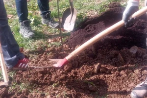 Kampanja "Zasadi stablo, ne budi panj" produžuje se na cijeli mjesec ožujak