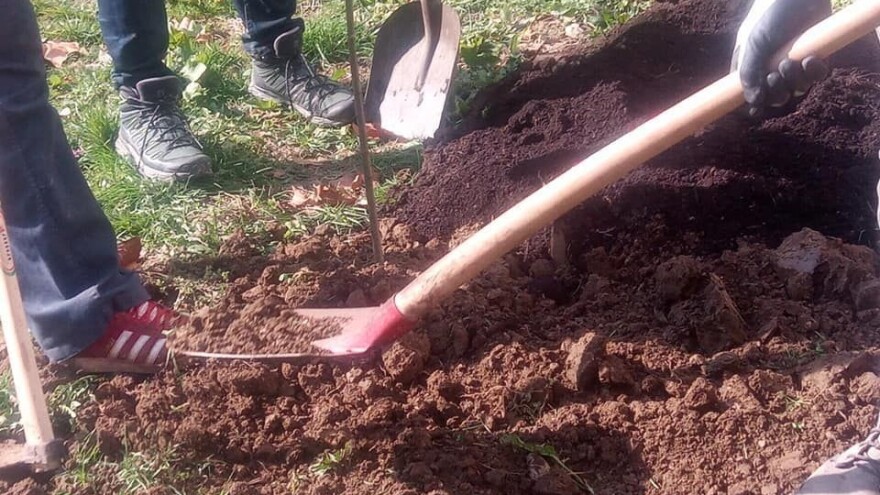 Kampanja "Zasadi stablo, ne budi panj" produžuje se na cijeli mjesec ožujak