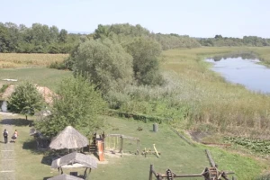 Zasavica slavi 20. rođendan