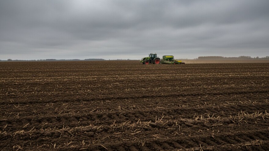 Zasijat će se 50.000 hektara pšenice manje