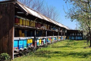 Puca treće džemre, meteorolozi najavljuju kišu i mraz