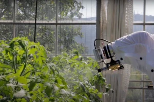 Iz Češke stiže robot koji prepoznaje kukce i ciljano ih uništava