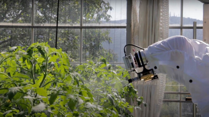 Iz Češke stiže robot koji prepoznaje kukce i ciljano ih uništava