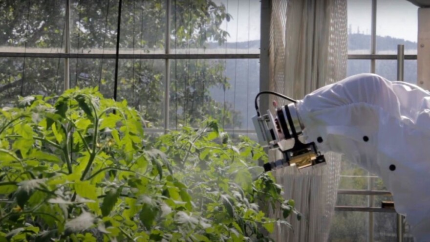 Iz Češke stiže robot koji prepoznaje insekte i ciljano ih uništava