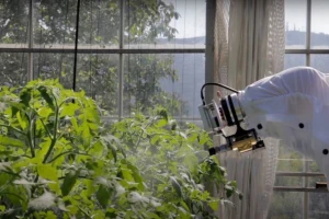 Iz Češke stiže robot koji prepoznaje kukce i ciljano ih uništava