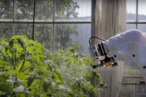 Iz Češke stiže robot koji prepoznaje kukce i ciljano ih uništava