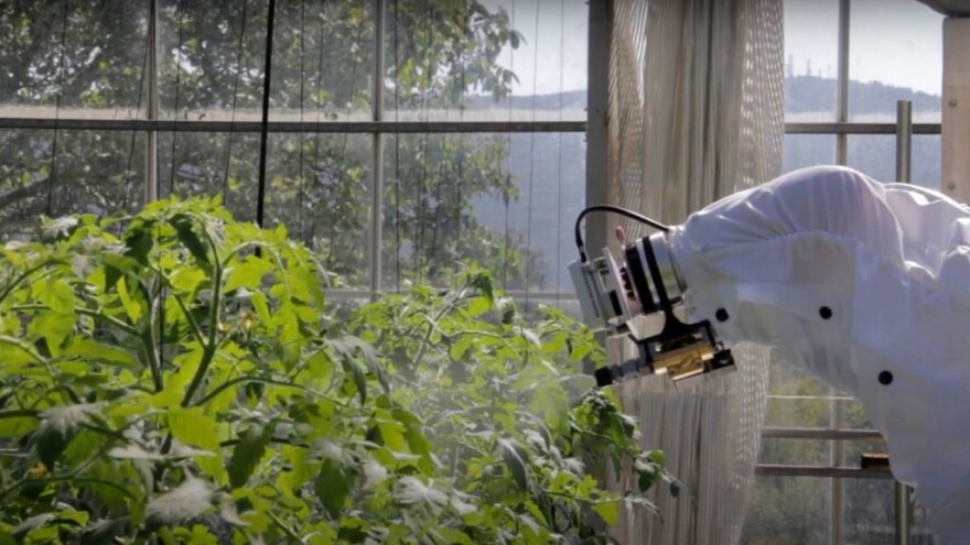 Iz Češke stiže robot koji prepoznaje kukce i ciljano ih uništava